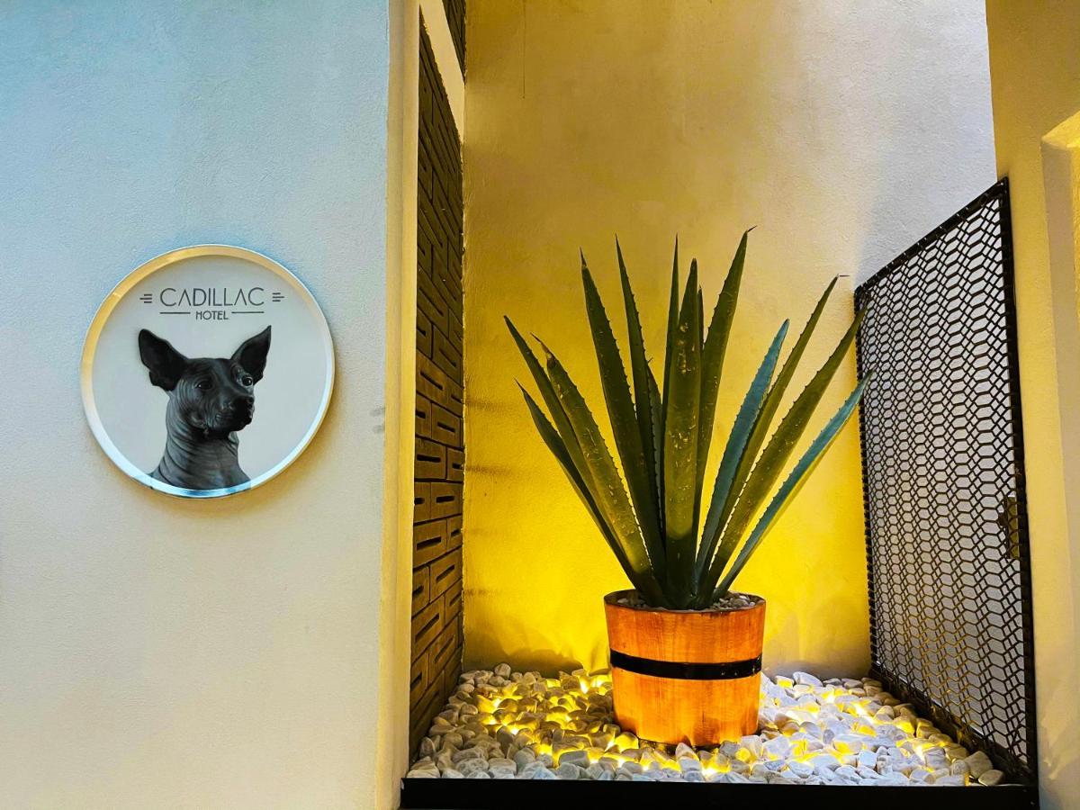 Cadillac Cocoon Beds Meksyk Zewnętrze zdjęcie
